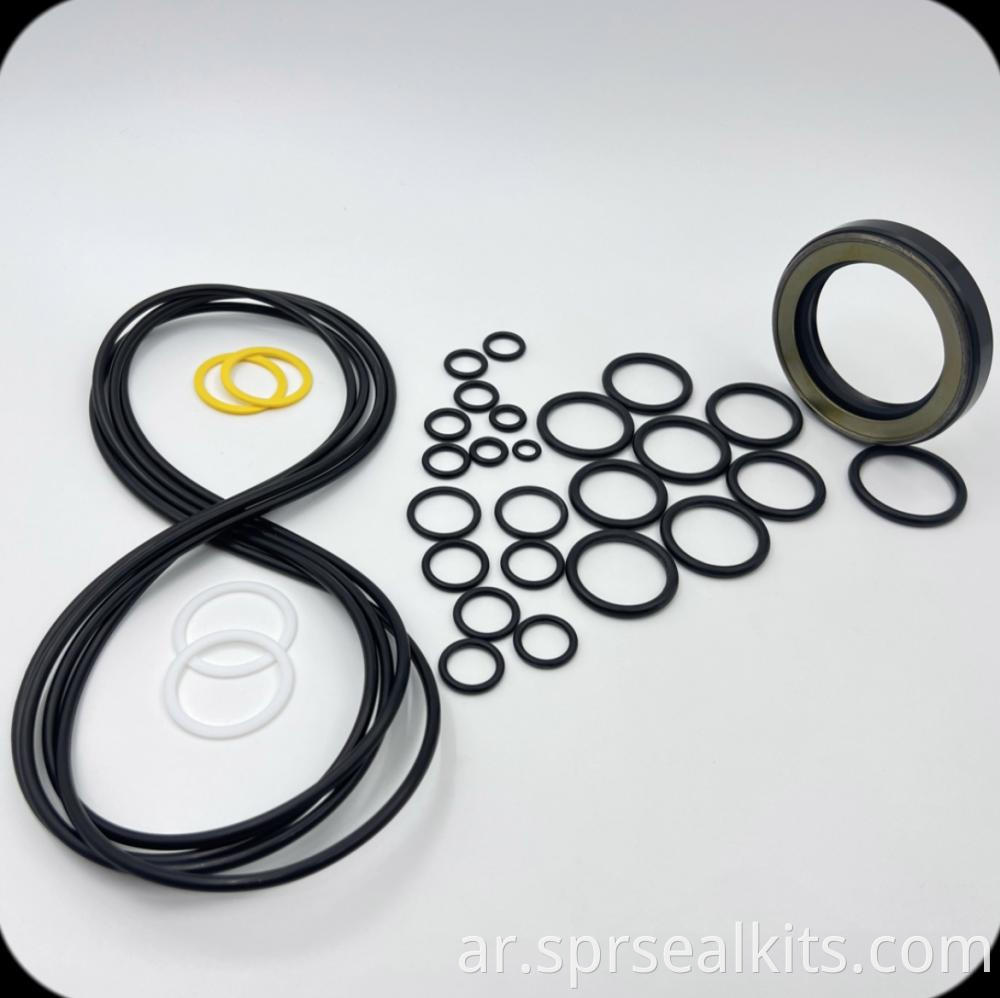 Swing Motor Seal Kit 1